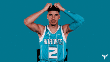 Lamelo Ball Sport GIF by Charlotte Hornets