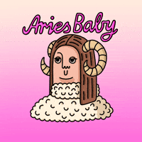 [현미녹차 효능]현미녹차의 숨겨진 효능을 탐구하세요 - 에스채널