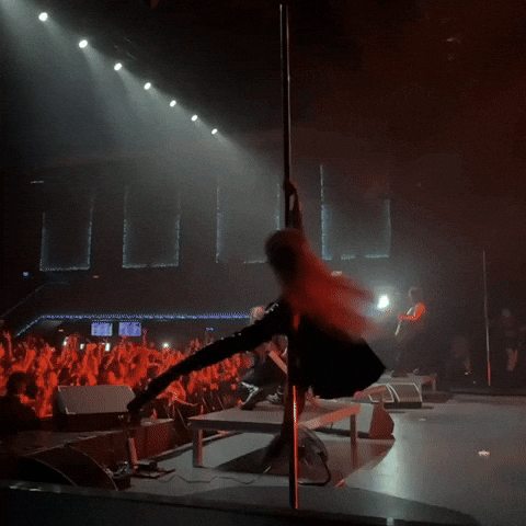 Poledance GIF by Murkagrey