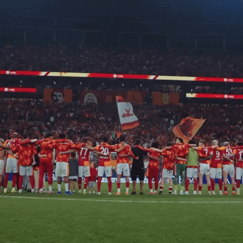Galatasaray Gs GIF