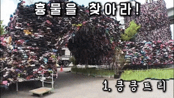 감사의정원 GIF