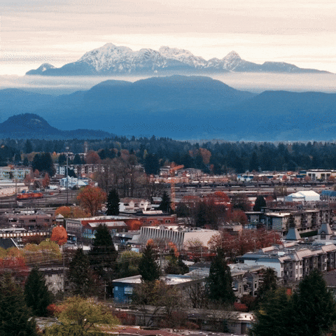 British Columbia Local Business GIF by Oi