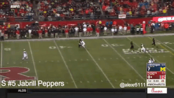 dshimon23yahoocom  GIF