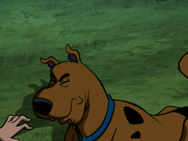 Shocked Get Away GIF by Scooby-Doo