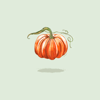 Trick Or Treat Pumpkin GIF