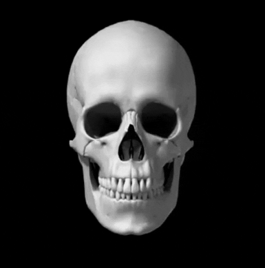 Best Spinning Skull GIF Images - Mk GIFs.com