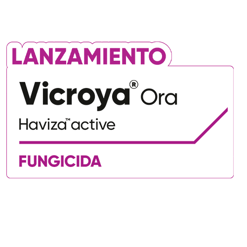 Vicroya Sticker by Cortevapy