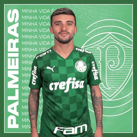 Victor Luis Soccer GIF by SE Palmeiras