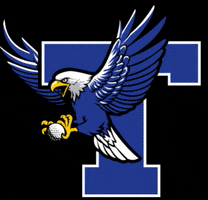 Golf Eagles GIF by golfclubteck