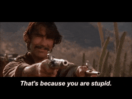 Stupid GIF