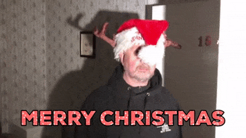 Merry Christmas GIF by Finders Beepers History Seekers