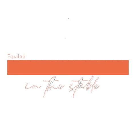 Equilab Sticker
