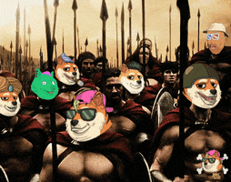 Fun Yes GIF by The Doge Pound
