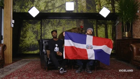 dominican republic baseball GIF by Desus & Mero