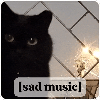 Cat GIF