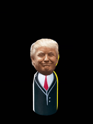 Donald Trump GIF by GZT