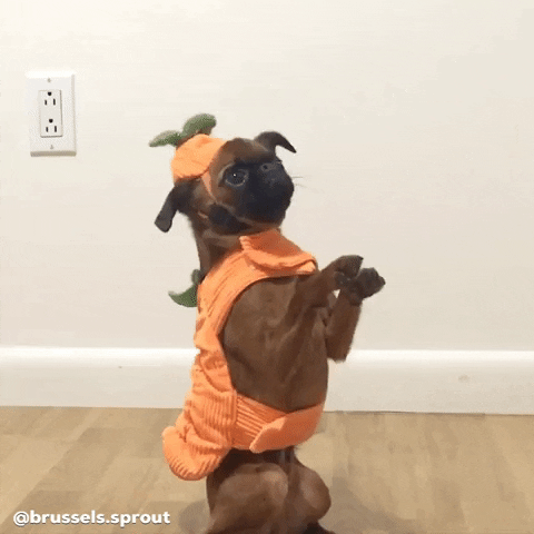 Trick Or Treat Please GIF