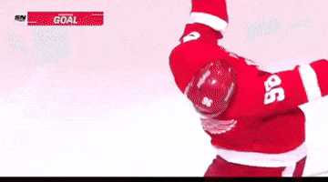 Red Wings Win GIF
