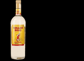 Bottle Tequila GIF by Mezcal Local