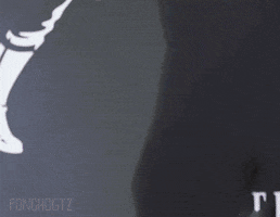 Poncho GIF