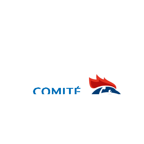 Comité Handball Aveyron Sticker