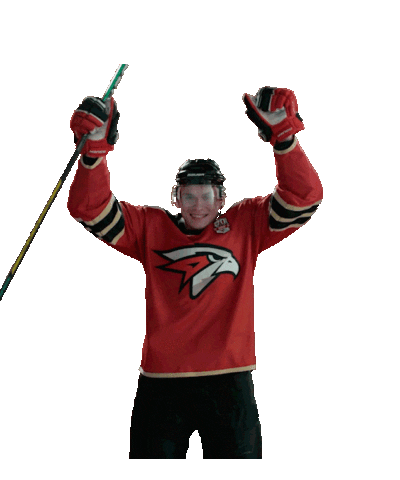 Goal Hockey Sticker by Avangard