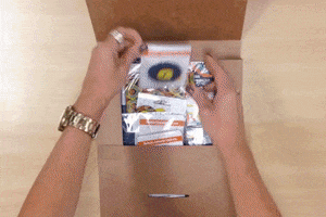 Raizler Raizlermagneticos GIF