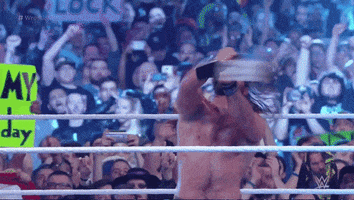 Happy Seth Rollins GIF by WWE