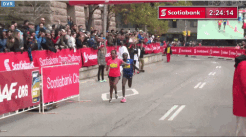 Image result for marathon fail gif