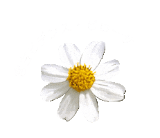 うるばな Sticker by URUBANA