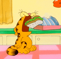 stream eating GIF by Garfield