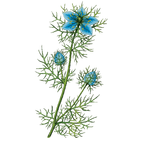 Yellow Backpack Project Sticker