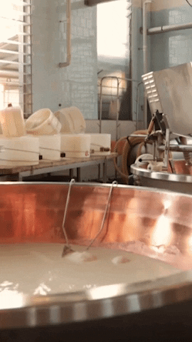 Cheese Dairy GIF by Parmigiano Reggiano