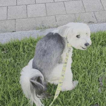Embarrassed Cheer Up GIF