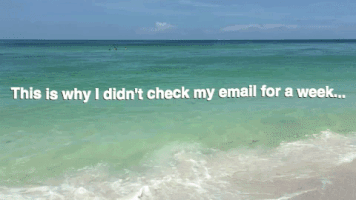 Beach Ocean GIF