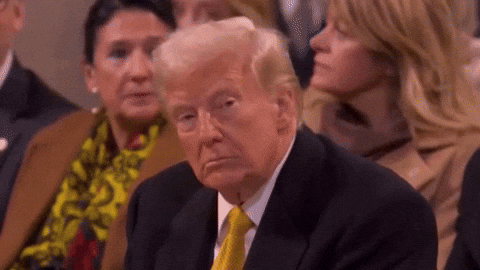 giphy.gif?cid=9b38fe91hv73vxfi55rhgnishm