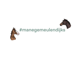 RSC Manege meulendijks Sticker