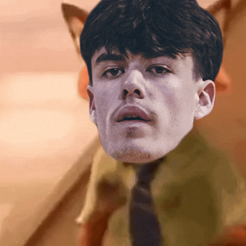 Fox Henry GIF by City Rocks EYBL