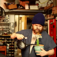 200.gif?cid=fc005b086c7c4c26461f1fe829270fcf1205ca95e004a586&rid=200.gif&ct=g