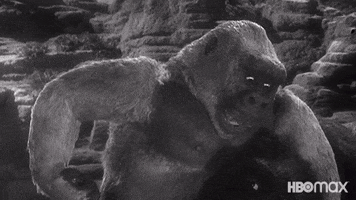 King Kong Fighting GIF by HBO Max