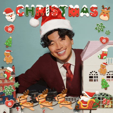 Christmas GIF by New 11