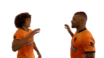 Cobras Sticker by Brasil Rugby