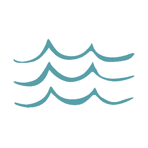 Wildwood Sticker by Becky Mckinnell