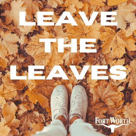 Falling Leaves Fall GIF by Fort Worth Water