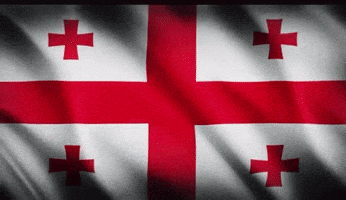 Trending Georgia GIF