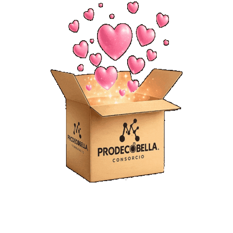 Caja Paquete Sticker by Prodecobella