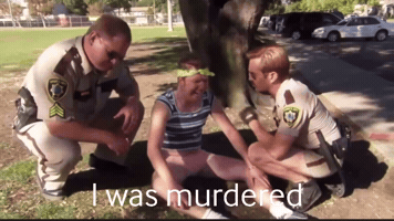 Terry GIF
