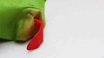 200.gif?cid=fc005b08de0273c6260d4c295aff8571d215edf707c196fa&rid=200.gif&ct=g