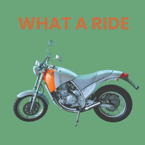 Motorcycle Racing Ride GIF by Design Museum Gent