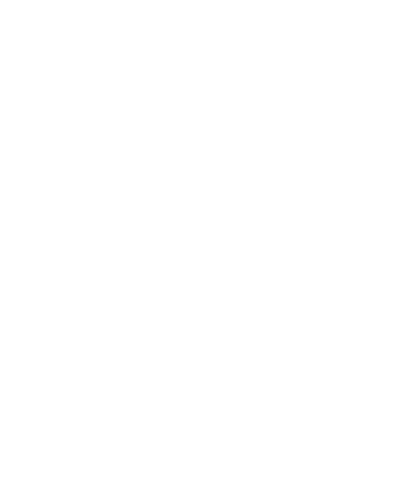 Wet Miami Sticker